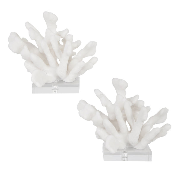 Charbel Bookends