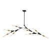 Filiali AC11538 Chandelier in Black & Harvest Brass