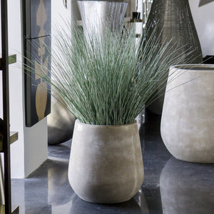 Bear Grass in Urbano Bell Fiber Clay Planter, SMAL