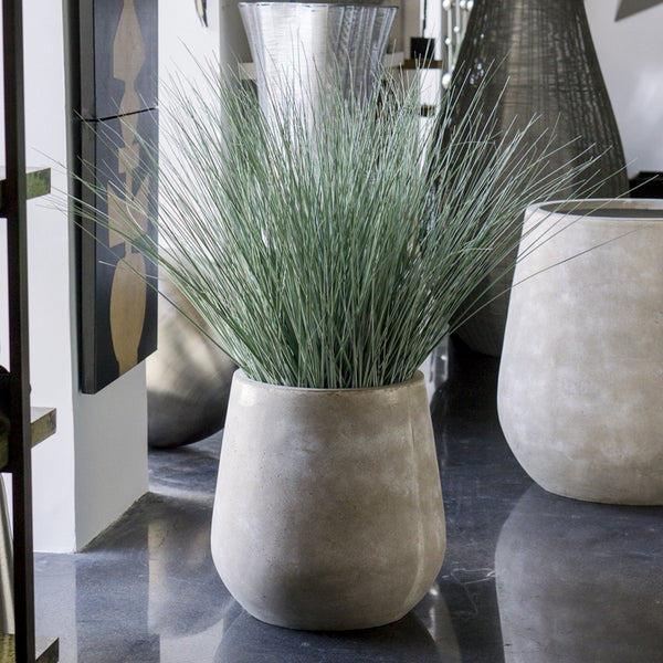 Bear Grass in Urbano Bell Fiber Clay Planter, SMAL