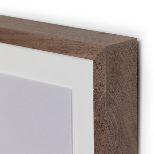 In The Details Ii By Annie Spratt