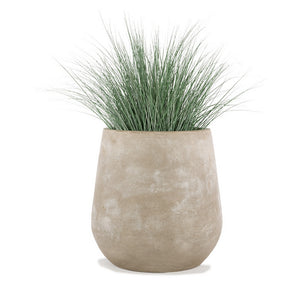 Bear Grass in Urbano Bell Fiber Clay Planter, LARG