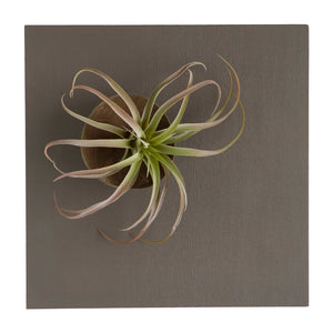 Canvas Wall Art Board