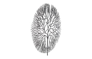 Wire Tree Wall Art, Large, Circle, Metal, Black