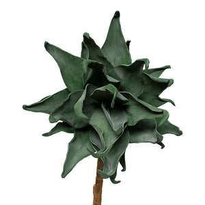 Aloe Stem 42"H w/out Pot