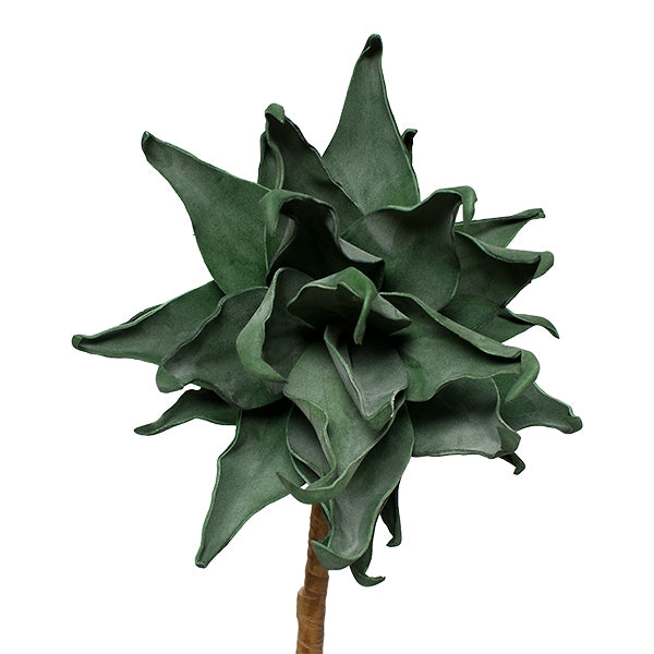 Aloe Stem 42"H w/out Pot