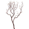 Natural Manzanita