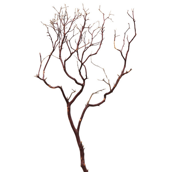 Natural Manzanita
