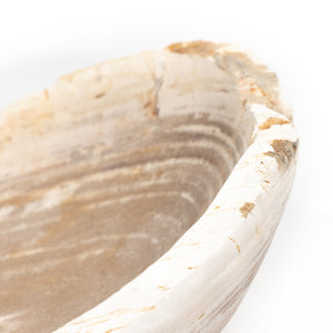 Oval Petrified Wood Bowl In Petrified Wood