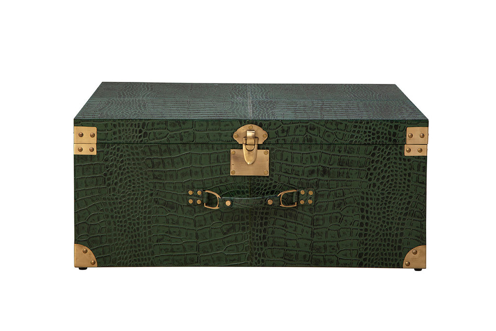 Marvin's Large Trunk