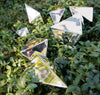 Stainless Steel Decahedron