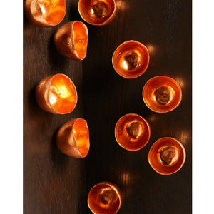 Seed Wall Play, Copper Shine