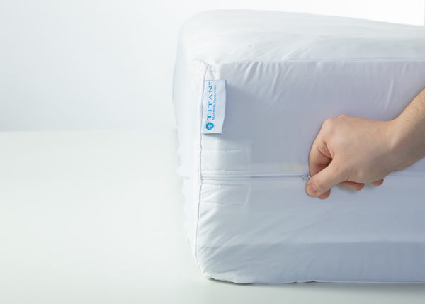 Aller Bug Mattress Encasement Twin XL