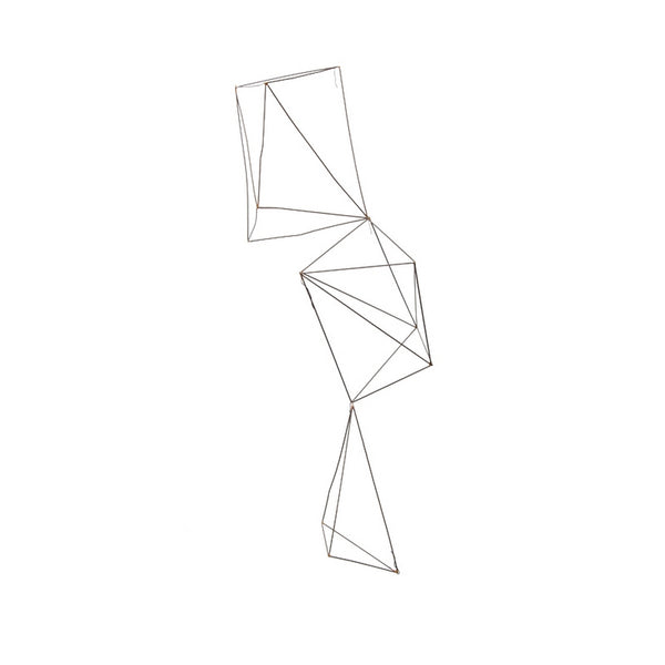 Wire Crystals