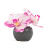 Orchid 4" Mound Design