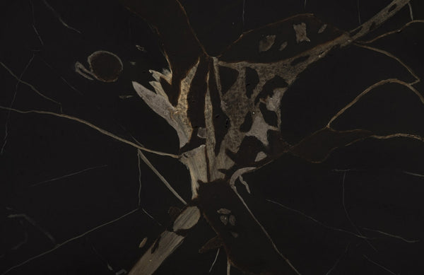 Cast Petrified Wood Stool In Black & Gold