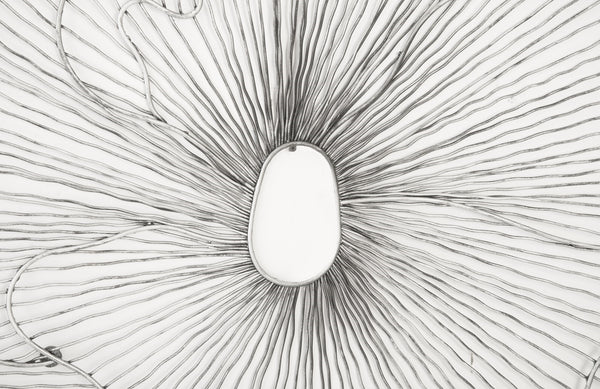 Poppy Flower Wall Art, Silver/Black, Large