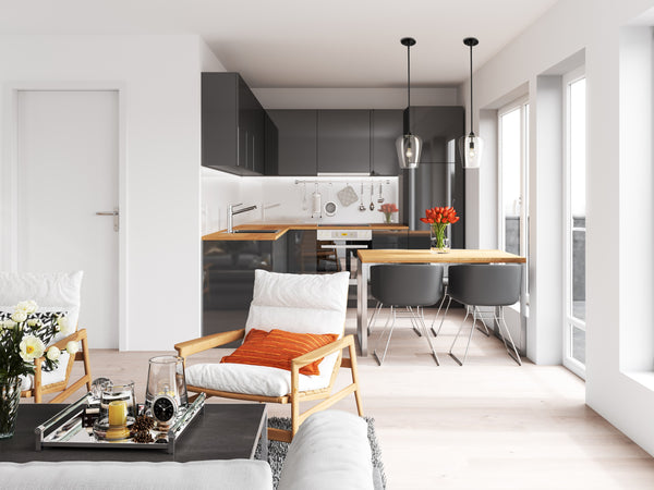 Joliet 1 Light Pendant in Matte Black Finish