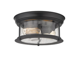 Sonna 2 Light Flush Mount in Matte Black Finish