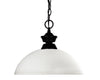 Shark/Windsor 1 Light Pendant in Matte Black Finish