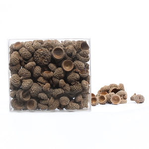 Acorn Caps, +/- 120 pieces