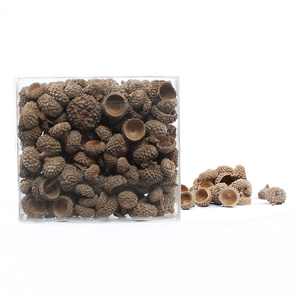 Acorn Caps, +/- 120 pieces