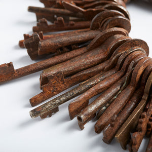 Key Ring in Rust