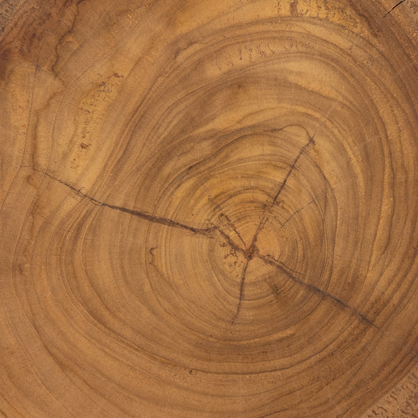 Jovie Outdoor End Table In Natural Teak