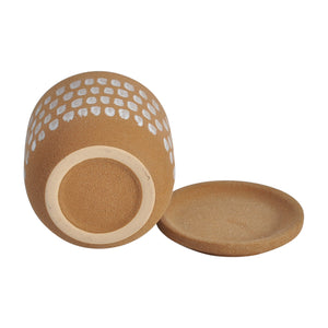 Botanical Planter with Tray, Natural Finish