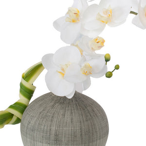 Vortex Vase with White Phalaenopsis Orchid