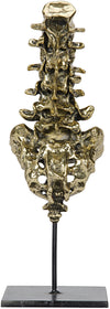 Vertebrae Sculpture in Antique Brass with Matte Black Industrial Steel Base