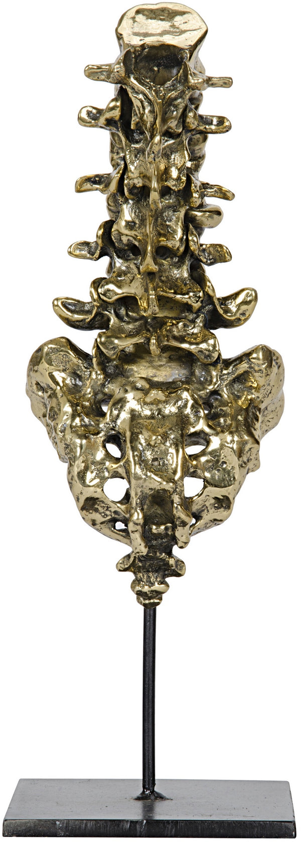 Vertebrae Sculpture in Antique Brass with Matte Black Industrial Steel Base