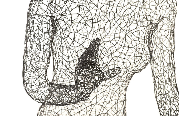 Crazy Wire Lounging Female - B