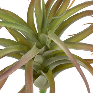 Tillandsia LG 12"D Bronze
