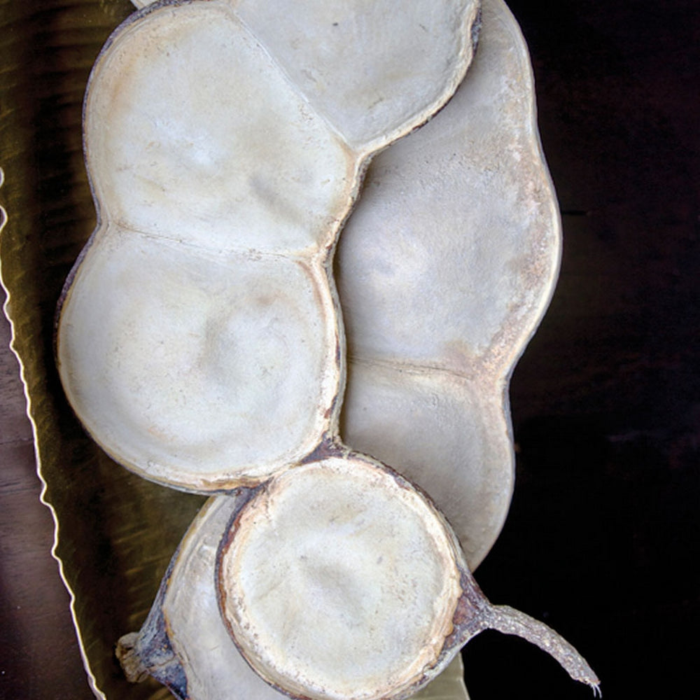 Entada Bean, Bleached