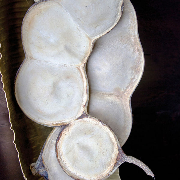 Entada Bean, Bleached