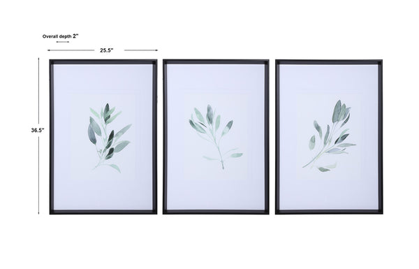 Simple Sage Watercolor Prints, S/3