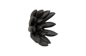 Compactum Succulent Wall Art , Smallooth Matte Black