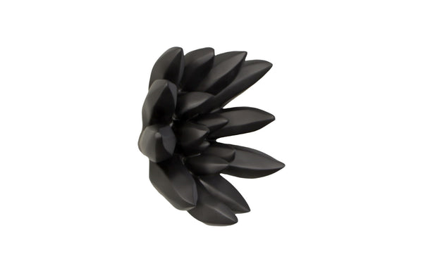 Compactum Succulent Wall Art , Smallooth Matte Black