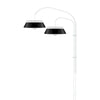 Cuna Black 2-Light Wall Lamp with White Wall Hanger