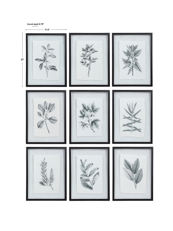 Farmhouse Florals Framed Prints, S/9