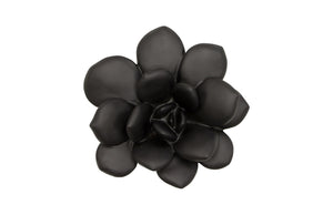 Laui Succulent Wall Art, Smallooth Matte Black