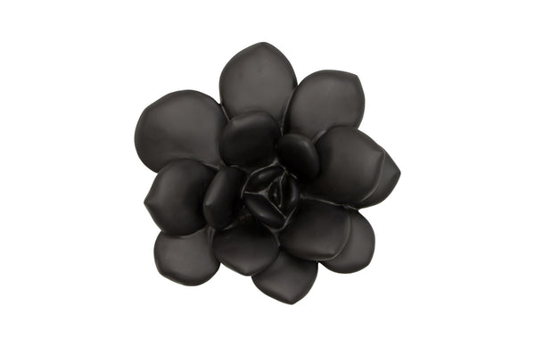 Laui Succulent Wall Art, Smallooth Matte Black