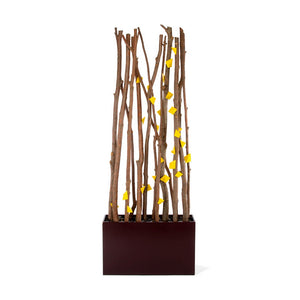 Alder Wood Poles w/ Yellow Quad Wall Play in Custo