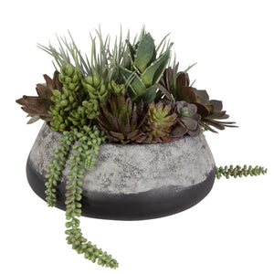 Yuma Succulent Centerpiece