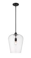 Joliet 1 Light Pendant in Matte Black Finish