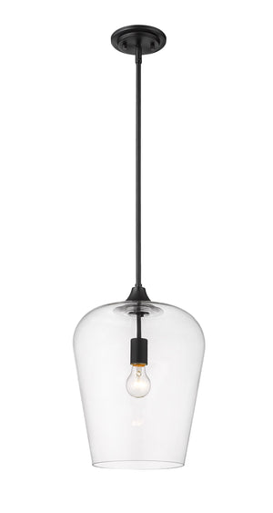 Joliet 1 Light Pendant in Matte Black Finish