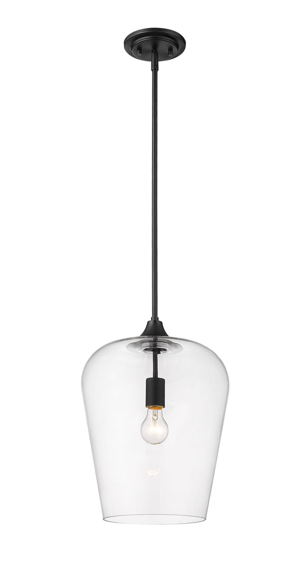 Joliet 1 Light Pendant in Matte Black Finish