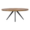 Moe's Parq Oval Dining Table in Amber