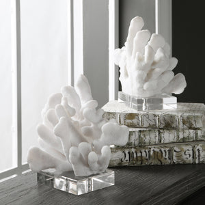 Charbel Bookends